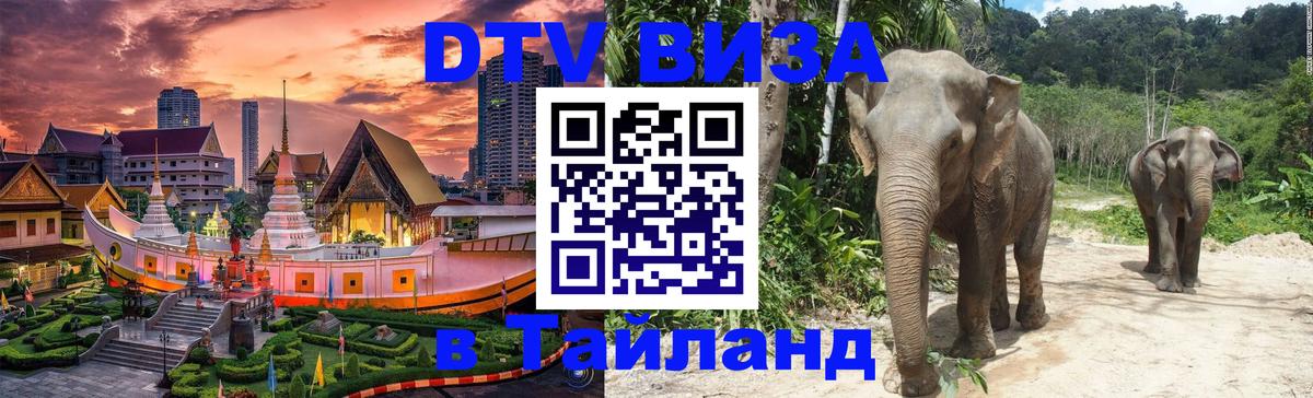 Цены на DTV визу в Таиланд — пакеты услуг, достаточно даже паспорта - Самара  09.01.2026 